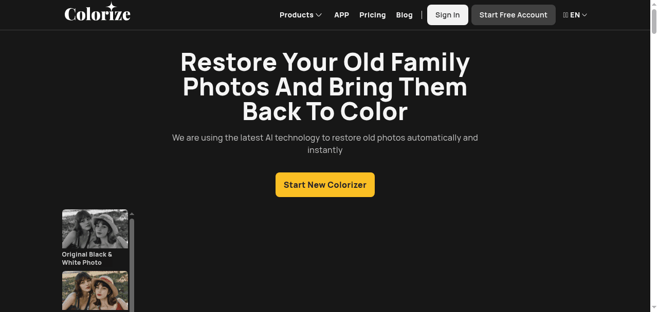 Imagecolorizer